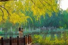c罗足球比分-C罗足球比分背后的传奇，从青涩少年到足坛巨擘的辉煌征程